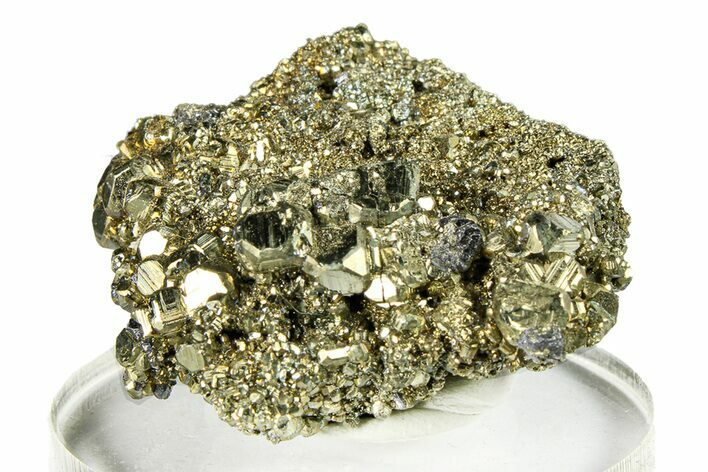 Gleaming Cubic Pyrite Crystal Cluster - Peru #291908